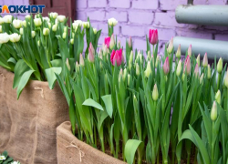 Плюсовая погода вернется в Волжский 8 Марта