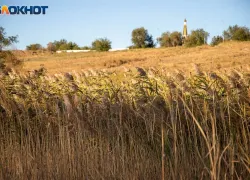 Заботимся о себе и занимаемся уборкой: приметы на 16 ноября