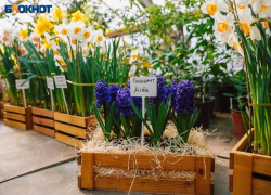 В Волжском пройдет спортивный фестиваль, посвященный весне и женщинам