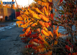 Безветренный четверг обещают в Волжском: прогноз