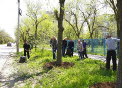 Весенний месячник по благоустройству набирает обороты в Волжском