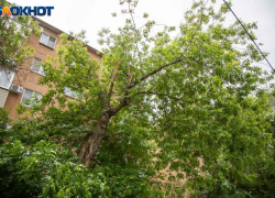 Жара и ветер: прогноз погоды в Волжском