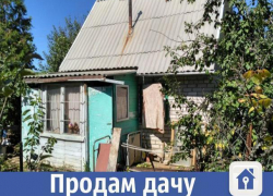 Продается уютная дача с плодоносящим садом в Волжском