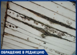 Жители многоэтажки в 9-м микрорайоне Волжского боятся выходить из подъезда из-за разрушающегося козырька 