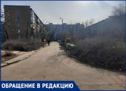 Огромный пожар ждут на бульваре Профсоюзов в Волжском из-за полугодовой свалки деревьев