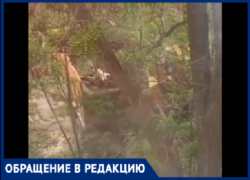 Волжане третьи выходные подряд жалуются на шум стройки у дома и бездействие полиции