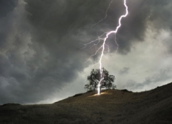 Под Волгоградом пастух погиб от удара молнии