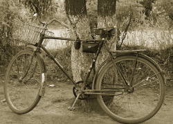 В Волжском из дачного домика украли старый велосипед