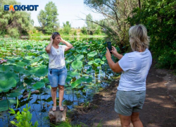 Волжан приглашают принять участие в областном фотоконкурсе