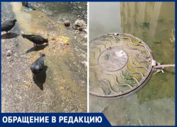 Работы коммунальщиков хватило на 2 часа: Волжский снова затопило фекалиями