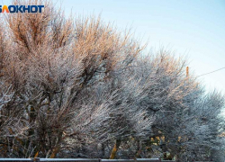Снежные выходные прогнозируют в Волжском