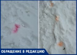 В Волжском замечены следы отравы для собак