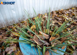 Весь день будет пасмурно: прогноз погоды в Волжском