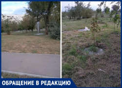 «Фонтаны бьют, а деревья сохнут»: волжанка пожаловалась на странный полив в парке