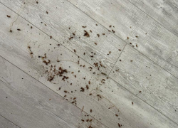 Волжане считают, что социальные службы должны вмешаться в ситуацию с одинокой бабушкой