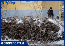 4 депутата и «Лада Дом» превратили дворы Волжского в свалки