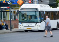 Горе-пешеход попал под колеса автобуса