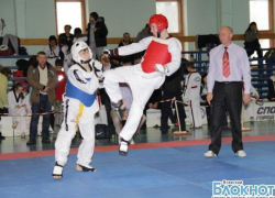 Волжские тхэквондисты завоевали 10 золотых медалей из 15 возможных