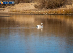 В Волжском в воскресенье будет пасмурно