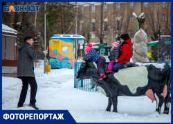 Оседлать корову и отморозить нос: традиционные волжские забавы в новогодние каникулы