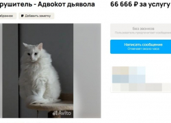 В Волжском за 66 666 рублей сдают в аренду адвокота Дьявола