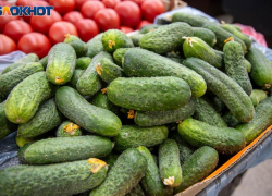 Почти на 17% подорожали огурцы в Волжском: статистика