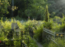 С кладбища в Ленинском районе неизвестные похитили металлические ограждения