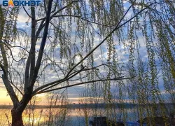 Вторник будет дождливым: прогноз погоды в Волжском