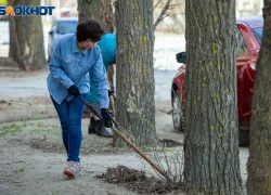 Как защищались от духа полей наши предки: чем опасна полудница
