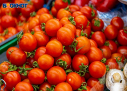 В Волжском начали дешеветь огурцы и помидоры: статистика цен