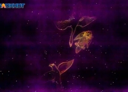 Прилив сил появится после обеда: гороскоп на 27 декабря