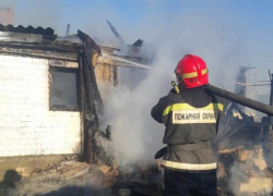 В Волжском вспыхнул приют для животных