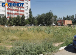 Большой пожар из-за беспечности властей ждут жители Волжского