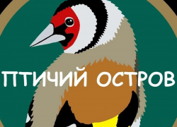 «Полноценный заказ»: в регионе хотят закрыть центр реабилитации для животных «Птичий Остров»