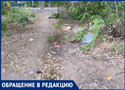 «Вроде город, а как будто в грязном лесу»: волжанка жалуется на мусор и сухостой в Волжском