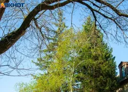 Закрывать окна на ночь советуют жителям Волжского