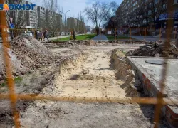 В Волжском реорганизуют парк 