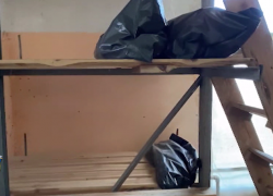 В Волгограде ФСБ обнаружила незаконно эксгумированные останки Вермахта и пресекла провокацию