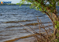 Травница рекомендует не переедать волжанам в день Аграфены Купальницы