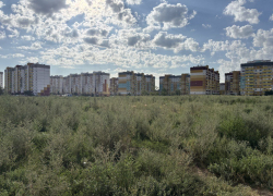 В непролазные джунгли превратилось место, где волжане годами ждут новую школу