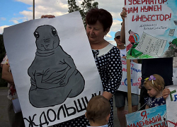 Креативным "Ждольщиком" отличились на митинге несостоявшиеся жильцы "АхтубаСитиПарк" в Волжском 