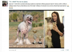 Родственники жестоко убитой Волжанки разыскивают её собаку, которая находится в Ростовской области