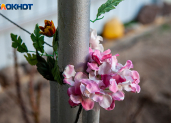 7 важнейших дел в саду до распускания почек: памятка садоводу