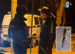 Волжанин угрожавший соседям ножом из-за бытового конфликта заключен под стражу