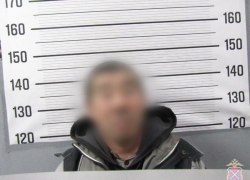 В Волжском пьяный дебошир ответил за «покушение» на суслика