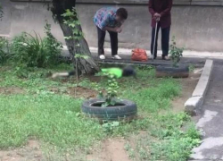 Подробности смертельного падения из окна в Волжском: страшные кадры появились в сети