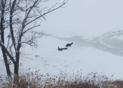 Два брата-волжанина утонули во время зимней рыбалки в Ахтубе