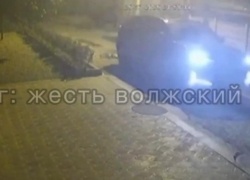 Сбил собаку и уехал: бесчеловечное ДТП попало на видео в Волжском