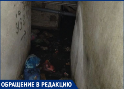 «Скоро рухнем»: видео из затопленного нечистотами подвала общежития на Молодежной напугало волжан