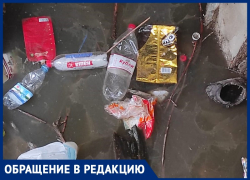 Затопленный подвал, вонь и тараканы: УК игнорирует жалобы жильцов в Волжском